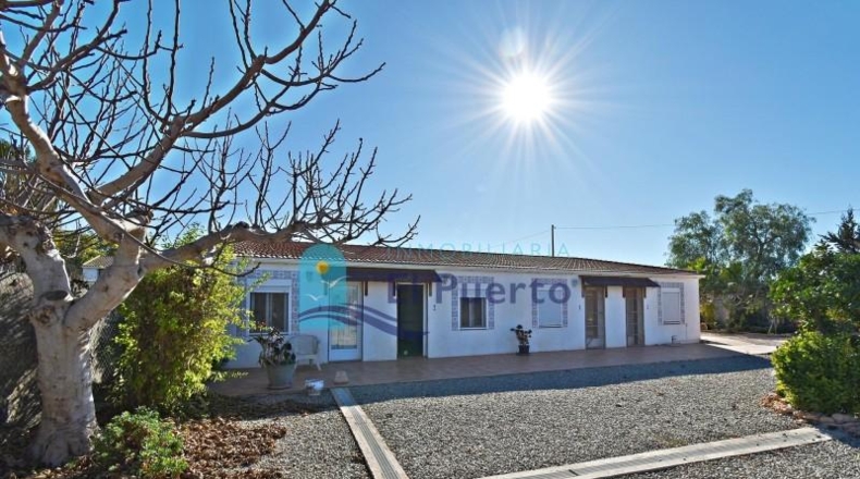 Murcia - Fuente Álamo de Murcia - 3500m2