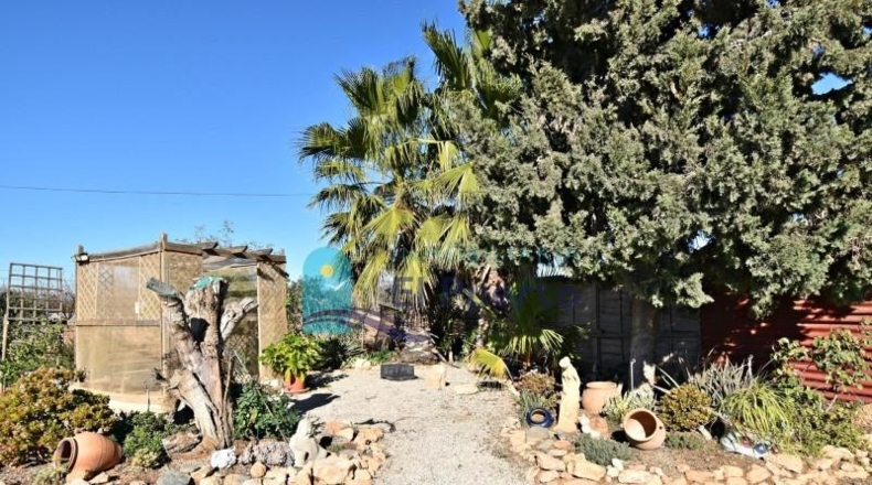 Murcia - Fuente Álamo de Murcia - 3500m2