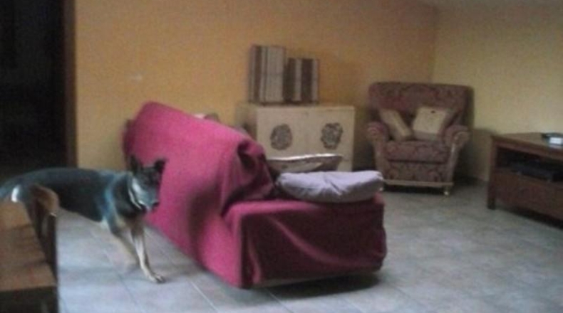 Alicante - Millena - 15000m2