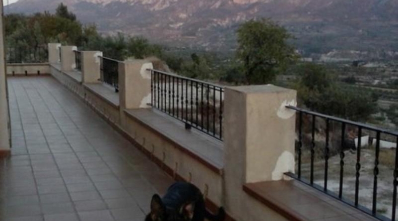 Alicante - Millena - 15000m2