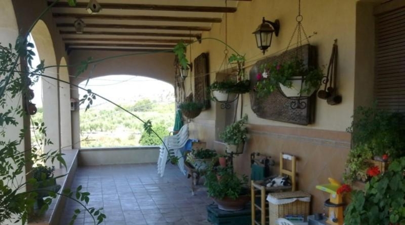 Alicante - Millena - 15000m2