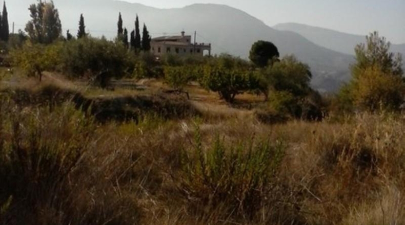 Alicante - Millena - 15000m2