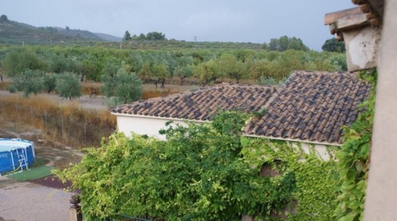 Alicante - Millena - 15000m2