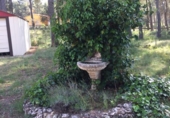 Chalet independiente con terreno en venta en la España, Bocairent, ref: TR132891 foto
