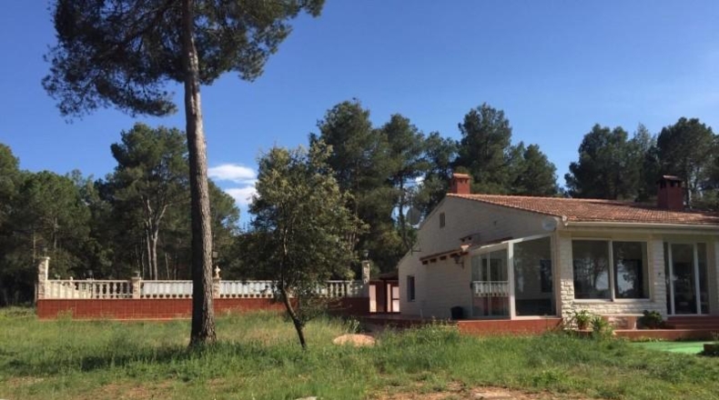 Alicante - Alcoy - 7000m2