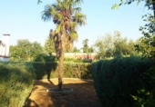 Xalet independent amb terreny en venda a la España, Valdepeñas, ref.: TR133088 foto