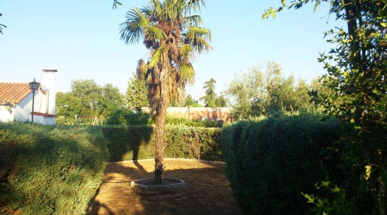 Ciudad Real - Valdepeñas - 6000m2