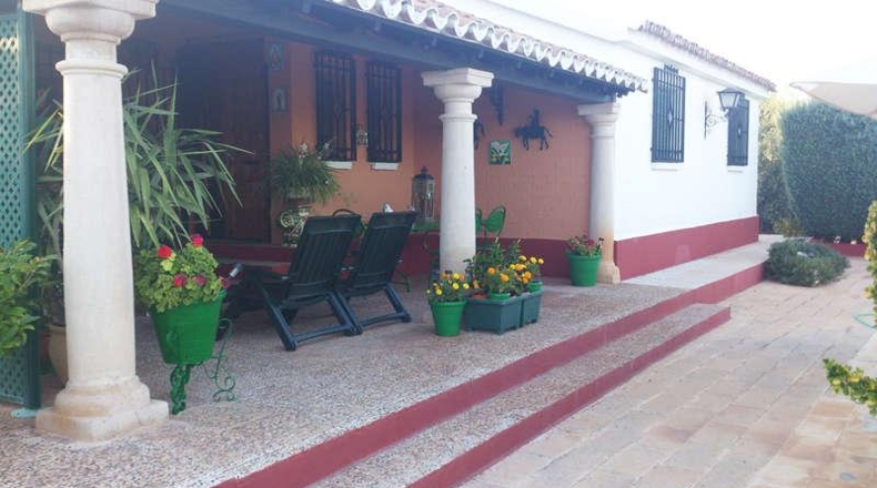 Ciudad Real - Valdepeñas - 6000m2