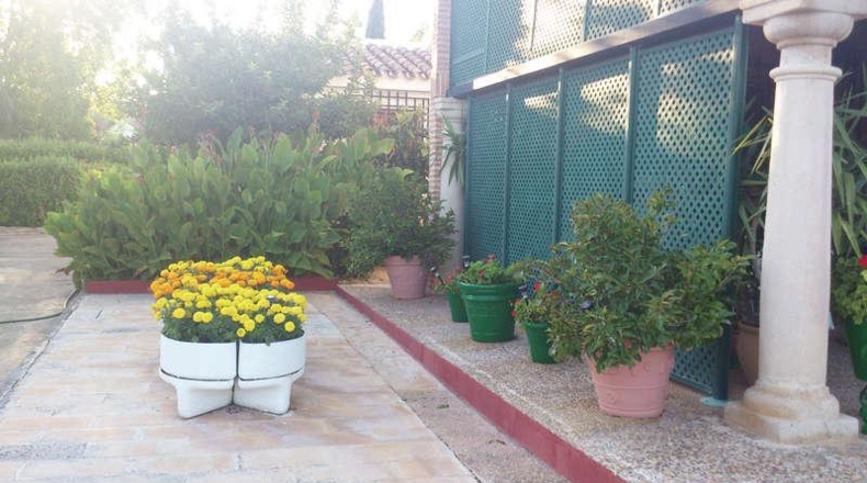 Ciudad Real - Valdepeñas - 6000m2