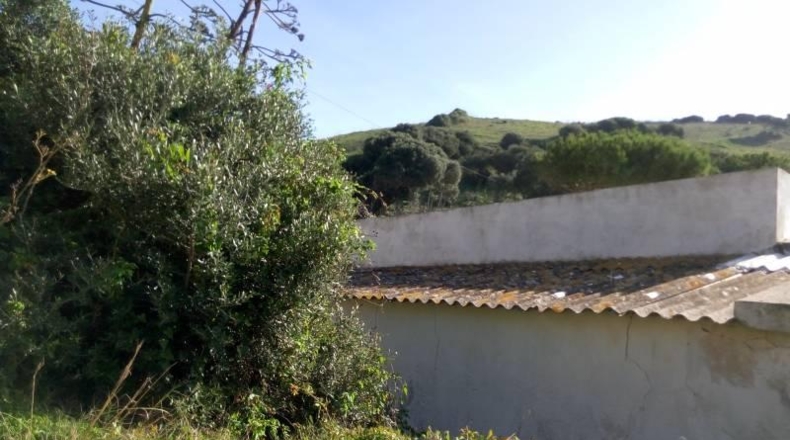 Cádiz - Tarifa - 17582m2