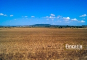 Land suitable for development for sale on España, Vilafranca de Bonany, ref: TR112975 photo