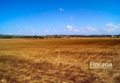 Land suitable for development for sale on España, Vilafranca de Bonany, ref: TR112975 photo