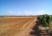 Land suitable for development for sale on España, Vilafranca de Bonany, ref: TR112975 photo