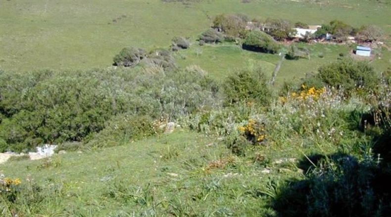 Cádiz - Tarifa - 20000m2