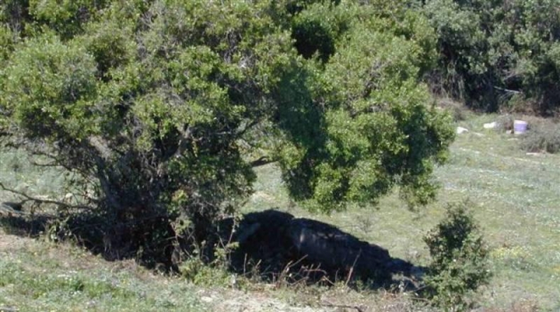 Cádiz - Tarifa - 20000m2