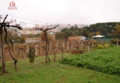 Casa de pueblo en venta en la España, Ourense, ref: TR299464 foto