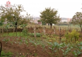 Casa de pueblo en venta en la España, Ourense, ref: TR299464 foto