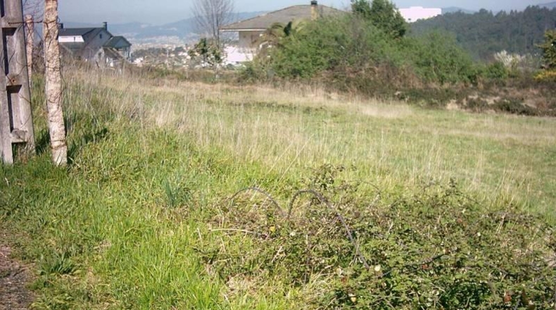 Pontevedra - Vigo - 2650m2