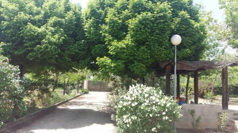 Ciudad Real - Puertollano - 3000m2