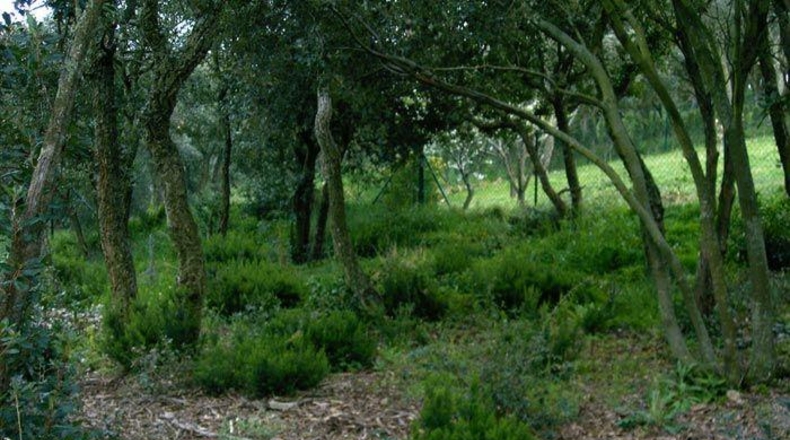 Gerona - Platja d'Aro - 1304m2