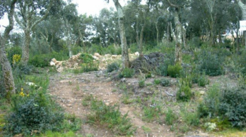 Gerona - Platja d'Aro - 1304m2