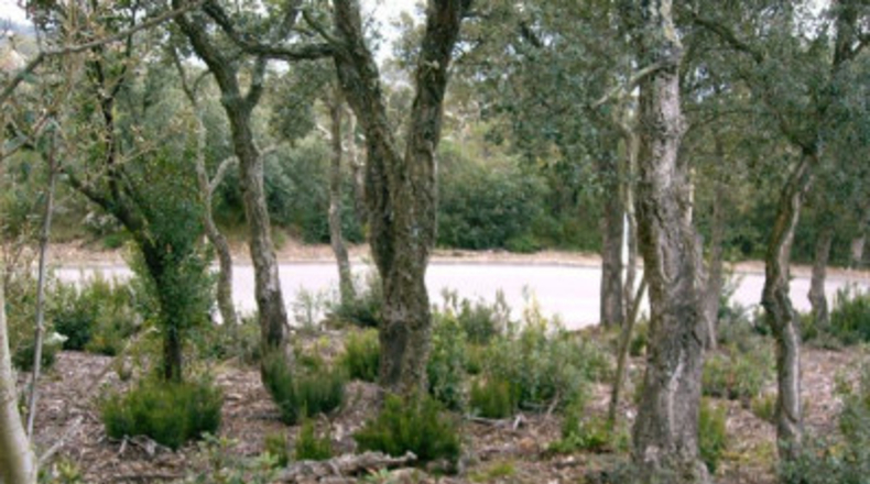 Gerona - Platja d'Aro - 1304m2