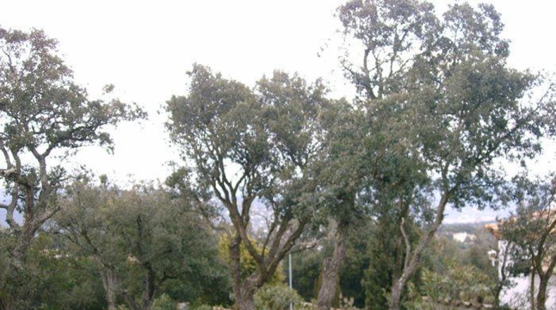 Gerona - Platja d'Aro - 1304m2