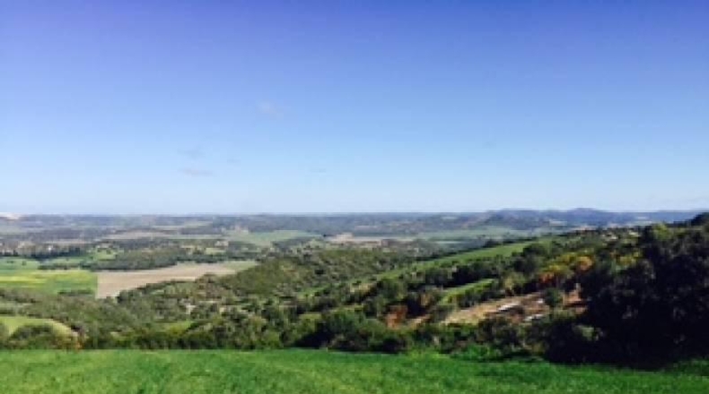 Cádiz - Vejer de la Frontera - 18000m2