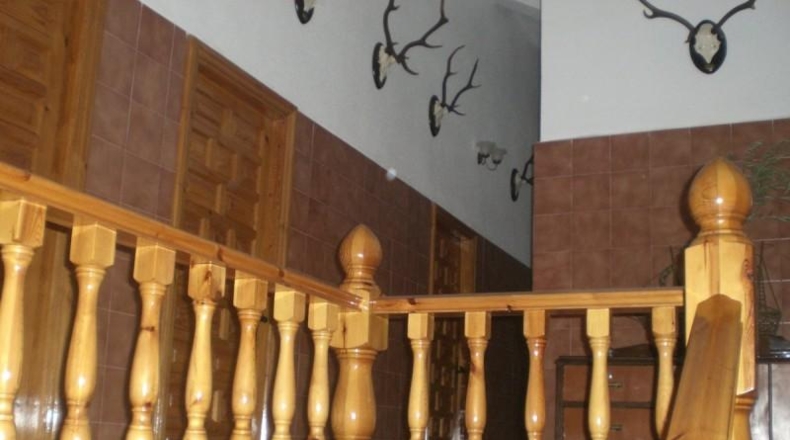 Córdoba - Belmez - 11000m2