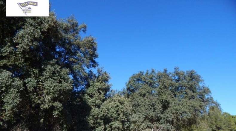 València - Onteniente - 19272m2