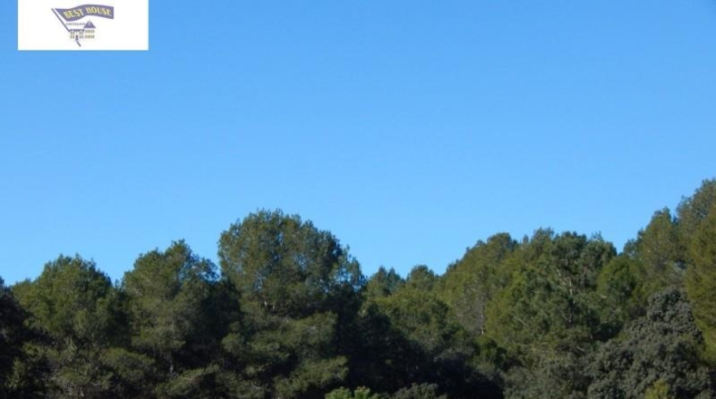 València - Onteniente - 19272m2