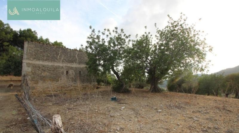 Islas Baleares - Selva - 50m2