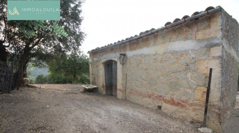 Islas Baleares - Selva - 50m2