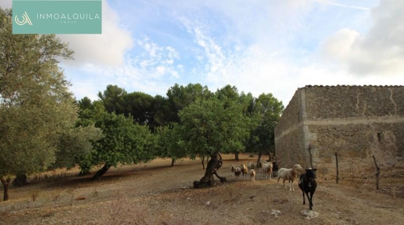 Islas Baleares - Selva - 50m2