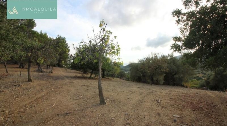 Islas Baleares - Selva - 50m2
