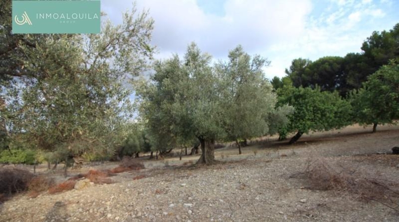 Islas Baleares - Selva - 50m2