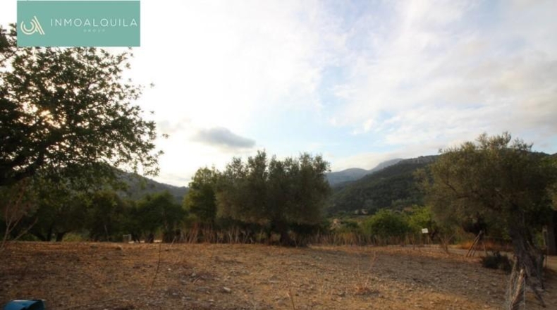 Islas Baleares - Selva - 50m2