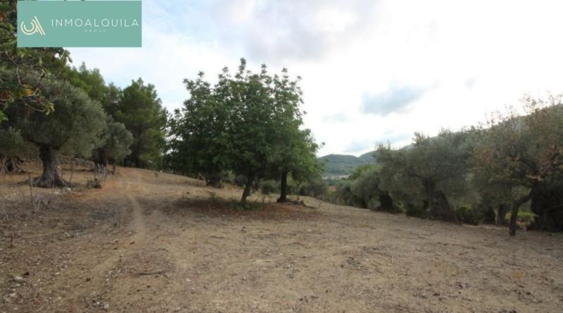 Islas Baleares - Selva - 50m2