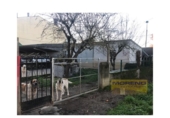 Casa de campo con terreno en venta en la España, Vilar de Sarria, ref: TR137466 foto