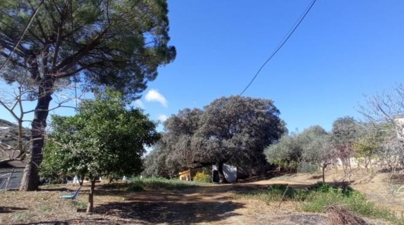 Cadiz - Benaocaz - 4500m2