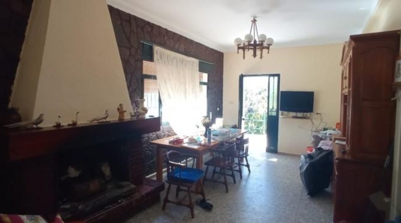 Cadiz - Benaocaz - 4500m2