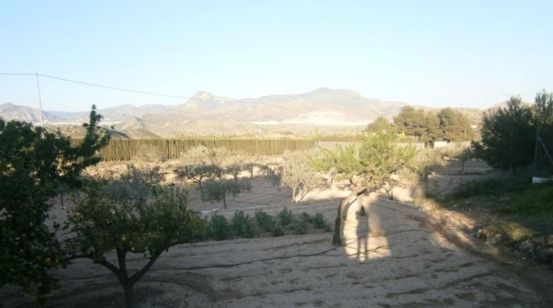 Alicante - Monóvar - 80m2
