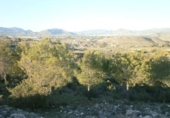 Casa de campo con terreno en venta en la España, Monóvar, ref: TR146039 foto