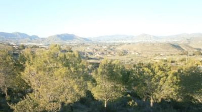 Alicante - Monóvar - 80m2