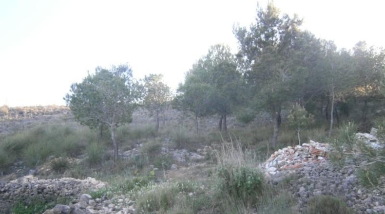 Alicante - Monóvar - 80m2