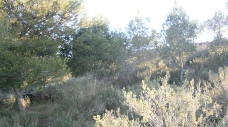 Alicante - Monóvar - 80m2