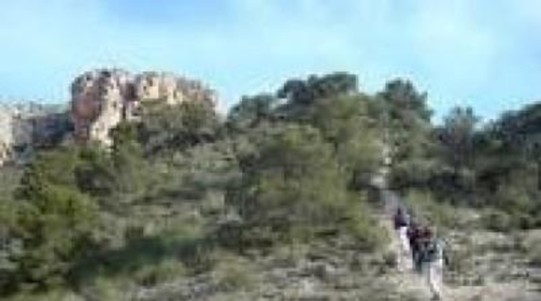 Alicante - Monóvar - 76000m2