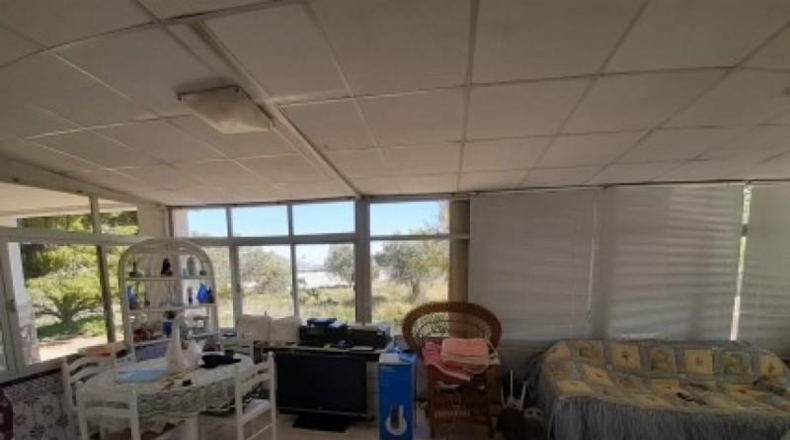 Alicante - Monóvar - 100000m2