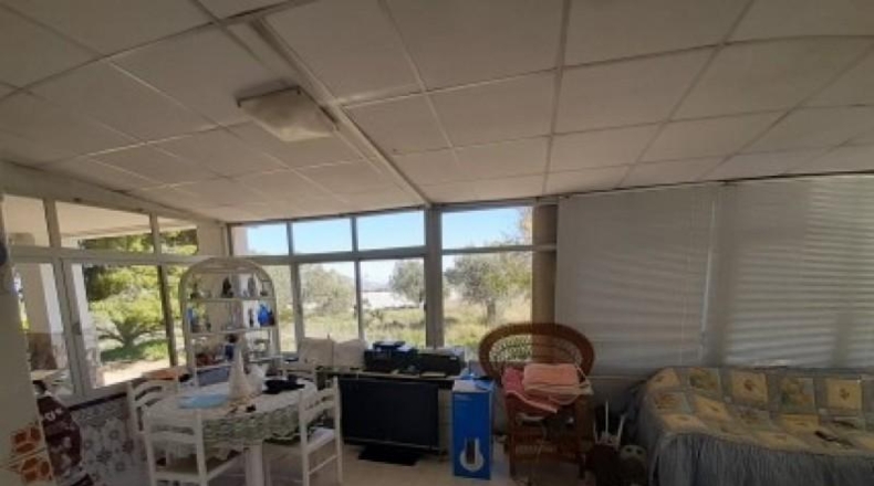Alicante - Monóvar - 100000m2