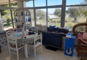 Chalet independiente con terreno en venta en la España, Monóvar, ref: TR146062 foto